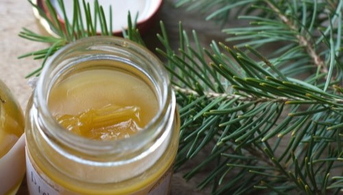 Herbal Salve Making Workshop